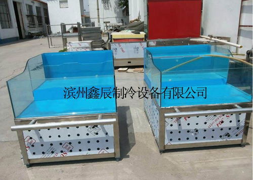 山东鑫辰海鲜贝类台、爬行类贝类池及水产品展示台 专业生产厂家、价格解析与家用电器融合应用