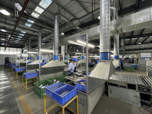 真拆vs二次销售 长虹美菱以产业链打造家电回收体系新标杆