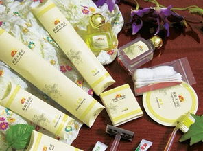 酒店客房一次性用品的时尚与实用——从假日到度假的全方位体验